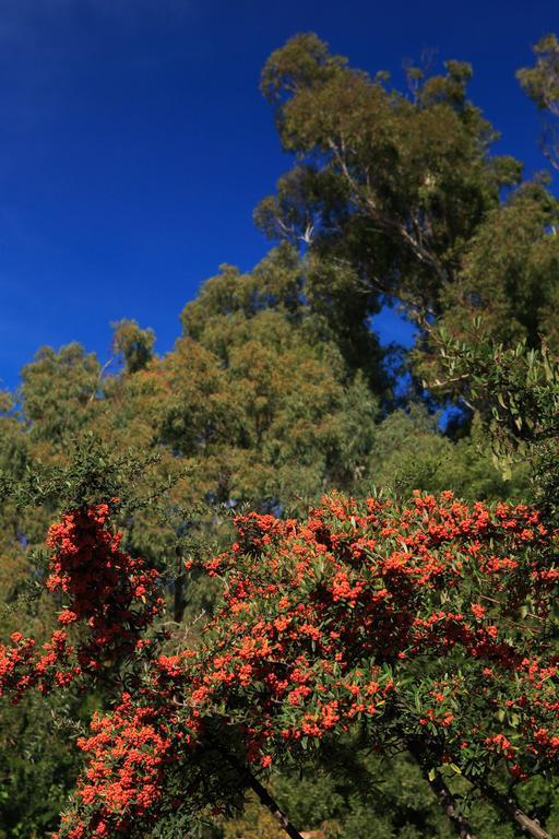 Гостьовий будинок Cortijo La Hoya El Bujeo Екстер'єр фото