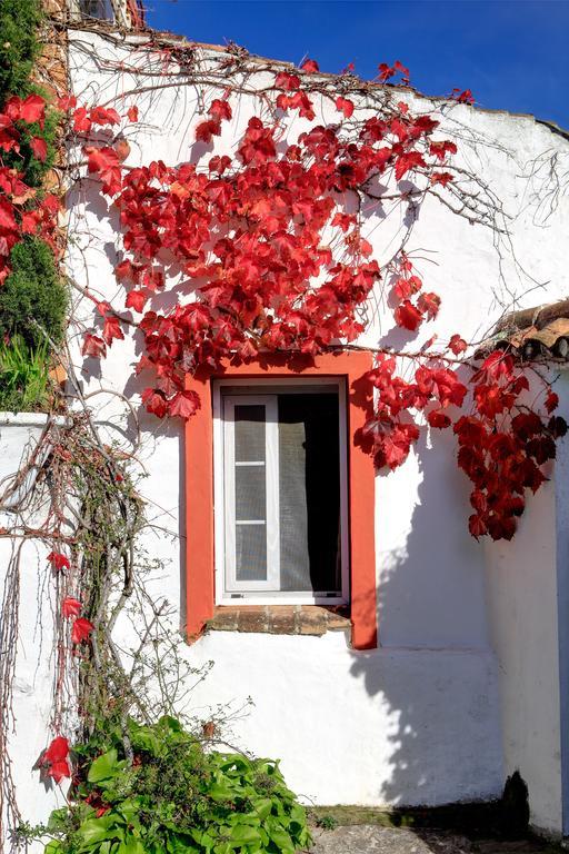 Гостьовий будинок Cortijo La Hoya El Bujeo Екстер'єр фото